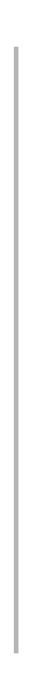gray-vertical-line