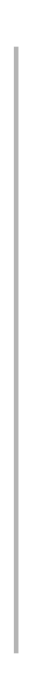 gray-vertical-line gray-vertical-line